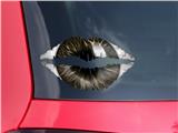 Lips Decal 9x5.5 Eyeball Brown